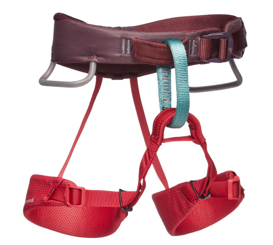Black Diamond Momentum Harness - Kids' Wild Rose Black Diamond Momentum Harness - Kids' Wild Rose