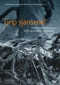 Grip Sjansene!