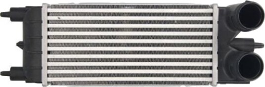 Intercooler THERMOTEC DAC020TT