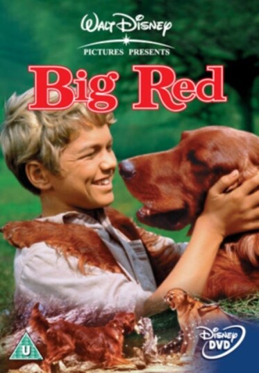 Big Red (1962) / Gutten Og Hunden DVD