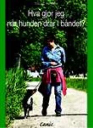 Hva Gjør Jeg Når Hunden Drar? Av Turid Rugaas