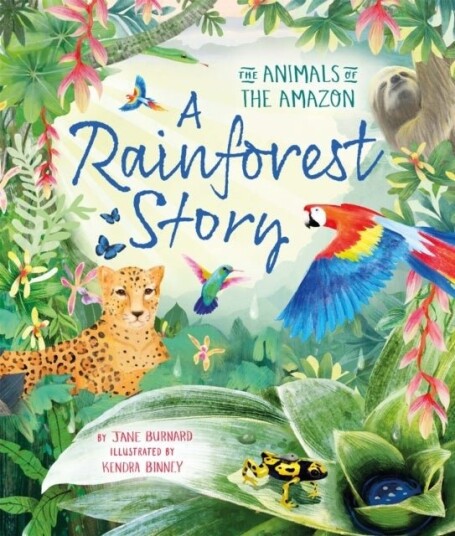 A Rainforest Story A Rainforest Story