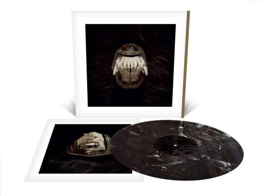 Amenra De Toorn LP/Vinyl Amenra De Toorn LP/Vinyl