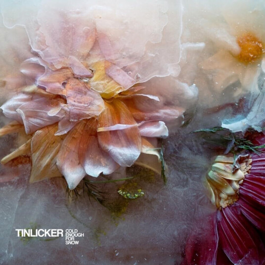 Tinlicker  Cold Enough For Snow  CD