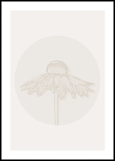 Gaillardia Bloom Botanical Line Art Plakat Plakat / 100x150cm