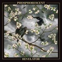 Bengans Phosphorescent - Revelatro