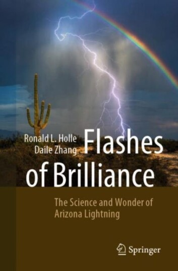 Flashes Of Brilliance Av Ronald L. Holle, Daile Zhang