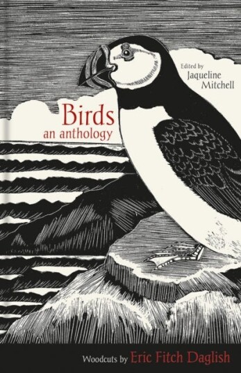 Birds Birds