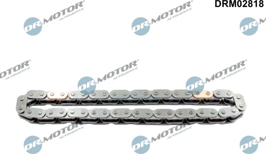Registerkjede DR.MOTOR AUTOMOTIVE DRM02818
