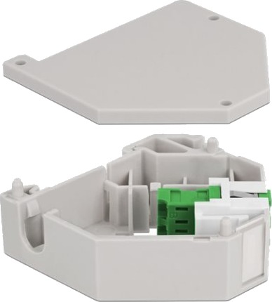 Delock Din-Skinnemonteringsadapter For Keystone-Jakk Lc Duplex Grønn
