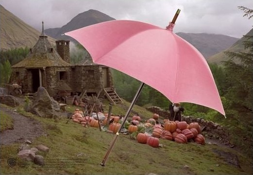 Pan Vision Hagrids Paraply Tryllestav
