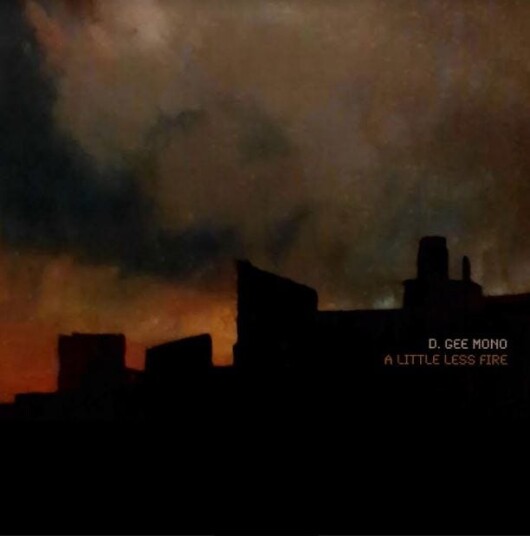D. Gee Mono  A Little Less Fire  LP/Vinyl