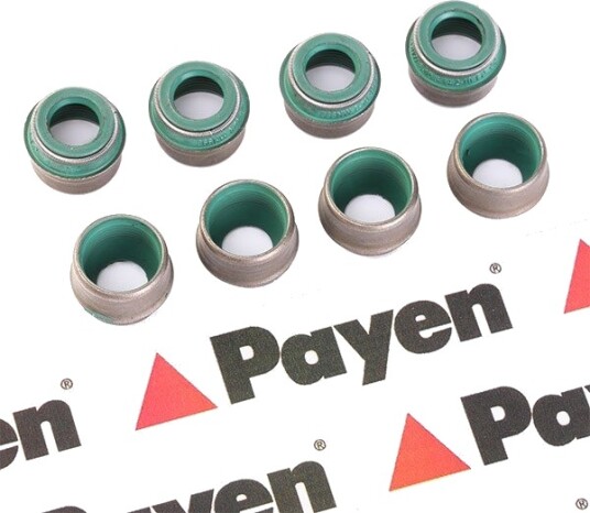 PAYEN HR569 Pakningssett, ventilstamme