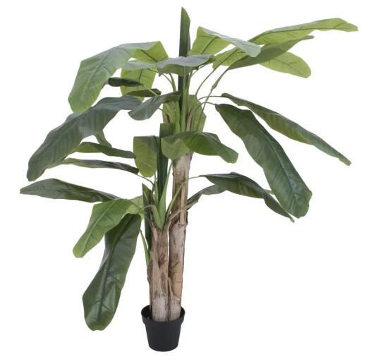 Europalms Banana Tree, 170cm Europalms Banana Tree, 170cm