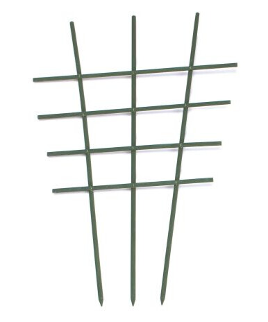 Nelson Garden 5209 Krukkeespalier tre, grønn 60 cm, Avling