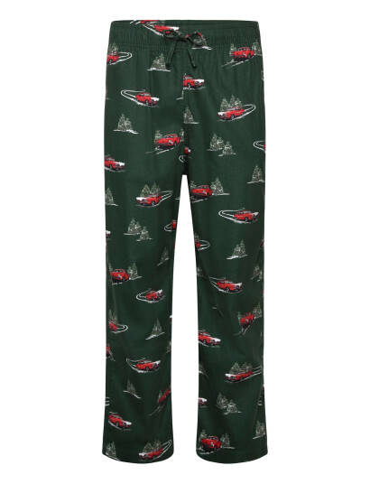Hollister Truck Conversational - Green - M