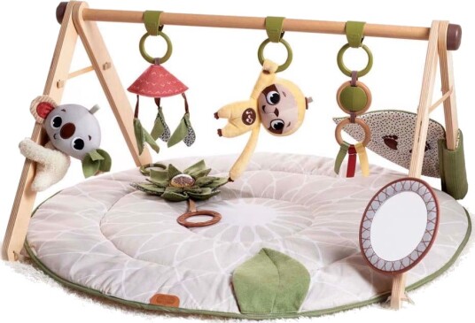 Tiny Love Boho Chic Luxe Babygym