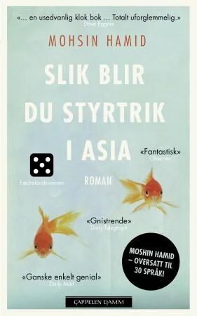 Slik Blir Du Styrtrik I Asia! Av Mohsin Hamid