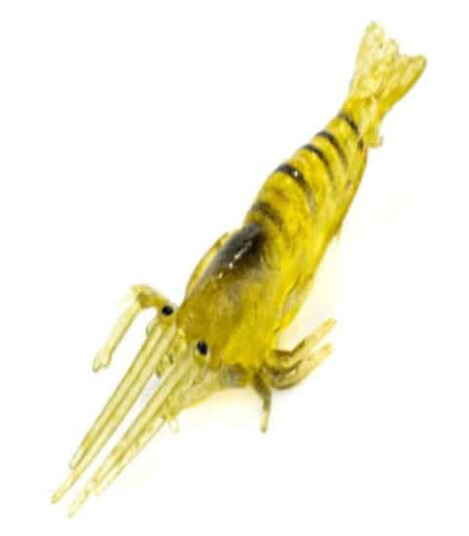 INNO Green Shrimp Tube