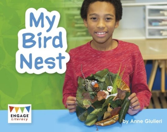 My Bird Nest My Bird Nest