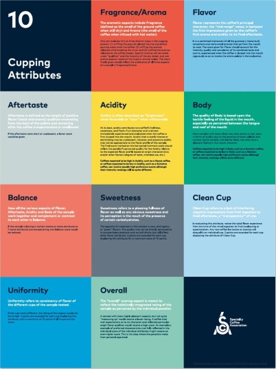 Cupping Attributes Poster - SCA Cupping Attributes Poster - SCA