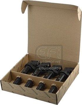 Tennspole EFI AUTOMOTIVE 155190P