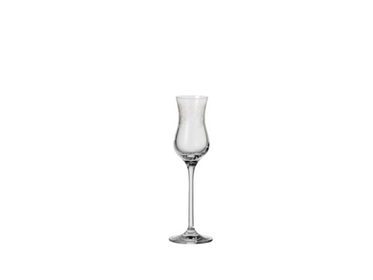 Leonardo Chateau Champagneglass Fløyte Glass Gjennomsiktig Klar 195 Mm 60 Mm