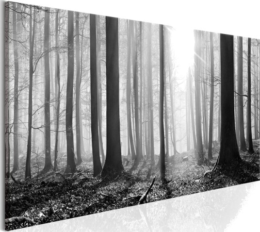 Tavle Black And White Forest 120X40 Artgeist sp. z o. o.