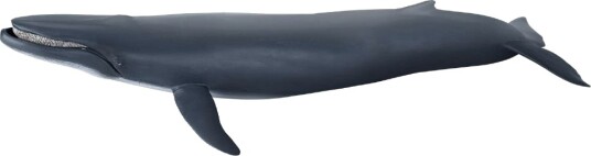 Papo Blåhval L: 40 cm Papo OneSize Lekedyr