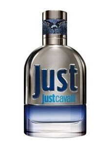 Roberto Cavalli Just Man Eau de Toilette 90ml Spray med Fougère Duftnoter