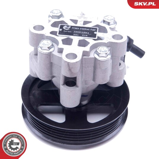 Servopumpe ESEN SKV 10SKV284
