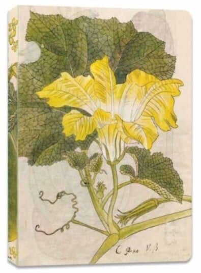 Japanese Squash Blossom Lined Paperback Journal Japanese Squash Blossom Lined Paperback Journal