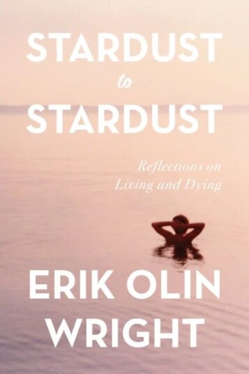 Stardust To Stardust Av Erik Olin Wright