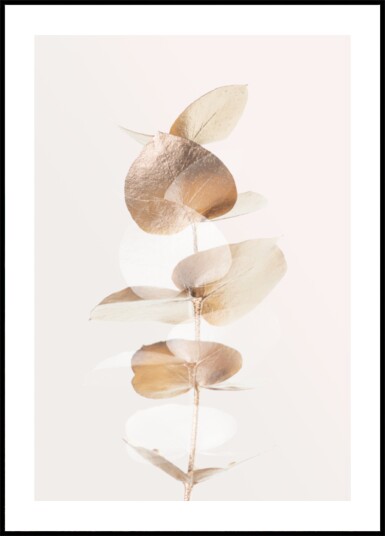 Golden Eucalyptus Branch Plakat / 30x40