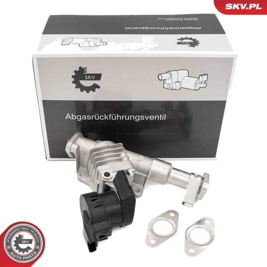EGR Ventil ESEN SKV 14SKV287