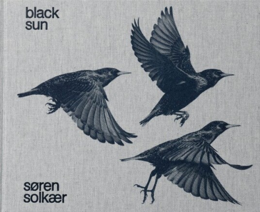 S?Ren Solk?R: Black Sun