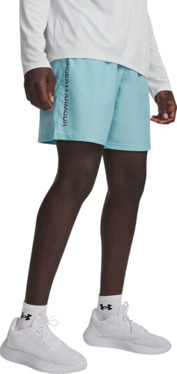 Under Armour Ua Tech Woven Wordmark Short Blue XXL