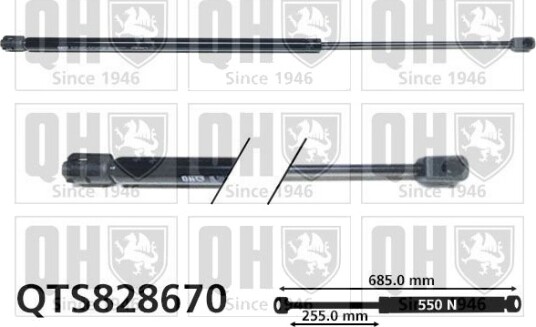 QUINTON HAZELL QTS828670 Baklukedemper