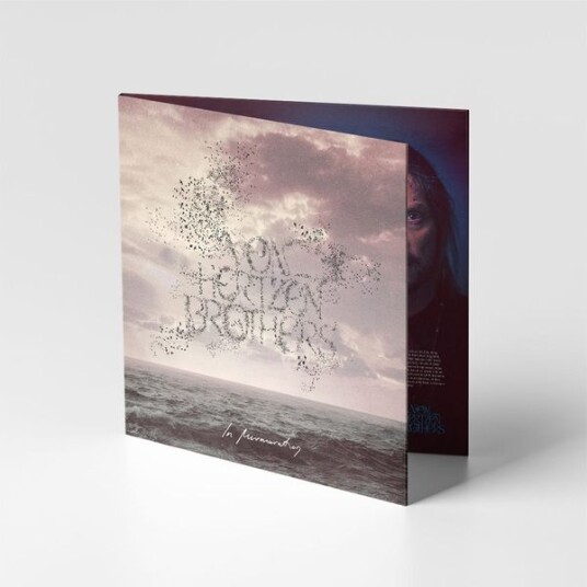 Von Hertzen Brothers In Murmuration (CD)