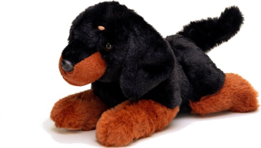Hilda Paw Dachshund Kosedyr