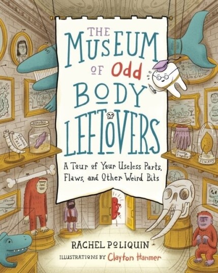 The Museum of Odd Body Leftovers The Museum of Odd Body Leftovers