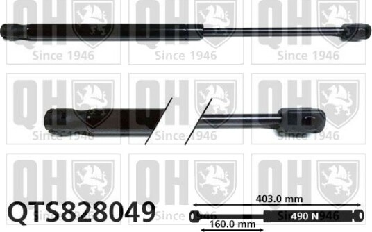 QUINTON HAZELL QTS828049 Baklukedemper