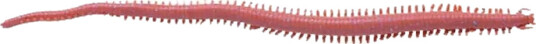 Gulp Børstemark 15 cm - mørk brun