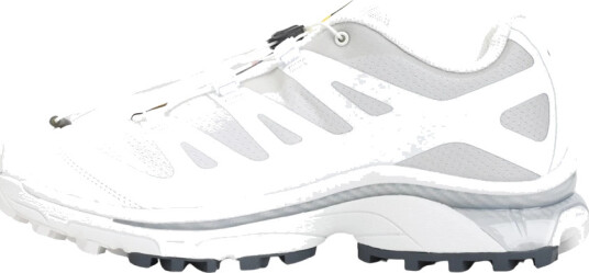 Salomon Dame Sko Flerfarget 43 1/2 EU,