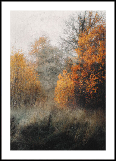 Autumn Forest Plakat Plakat / 30x40cm