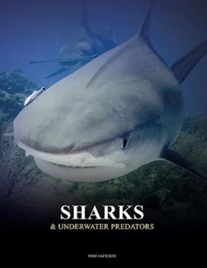 Sharks And Underwater Predators Av Tom Jackson