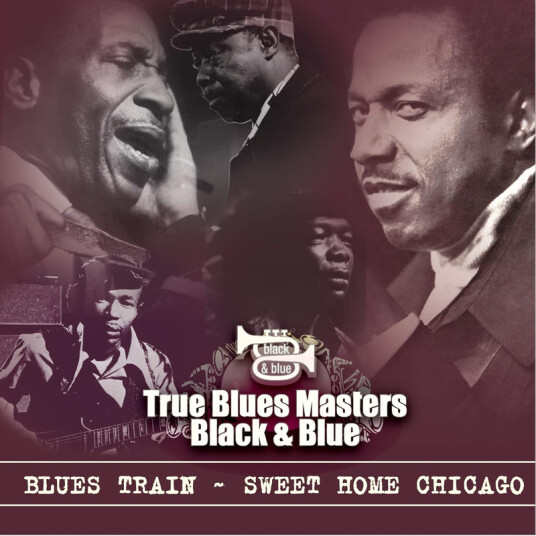 Diverse Artister Blues Train: Sweet Home Chicago CD
