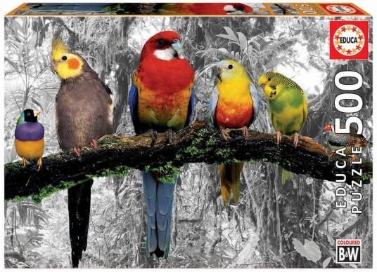 Educa Puslespill Birds On The Jungle 500 Brikker Educa Puslespill Birds On The Jungle 500 Brikker