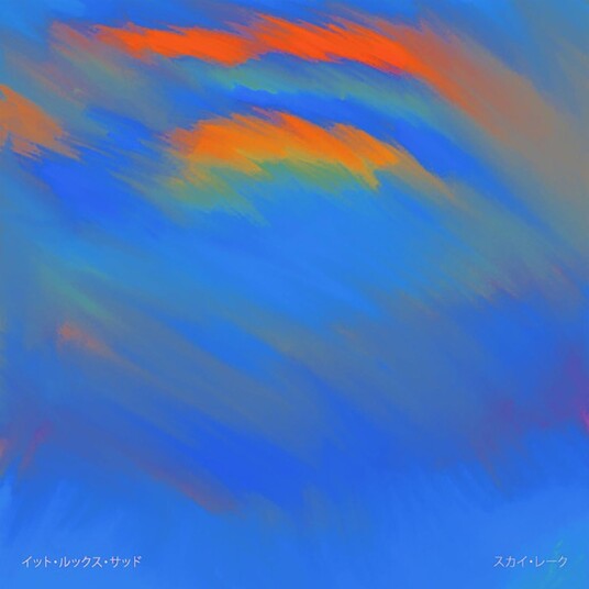 It Looks Sad  Sky Lake  LP/Vinyl