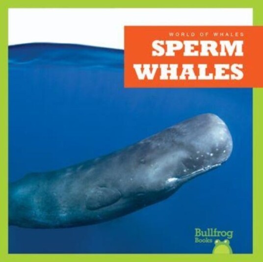 Sperm Whales Sperm Whales